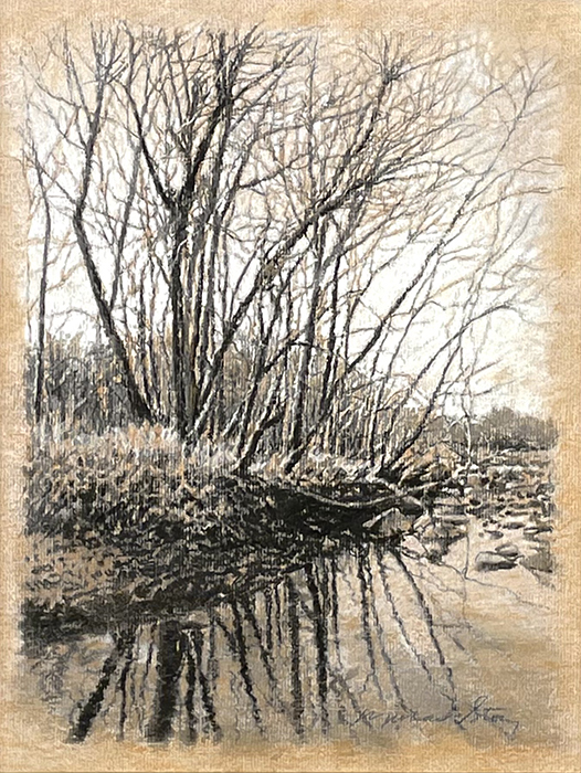Bare Branch Reflections