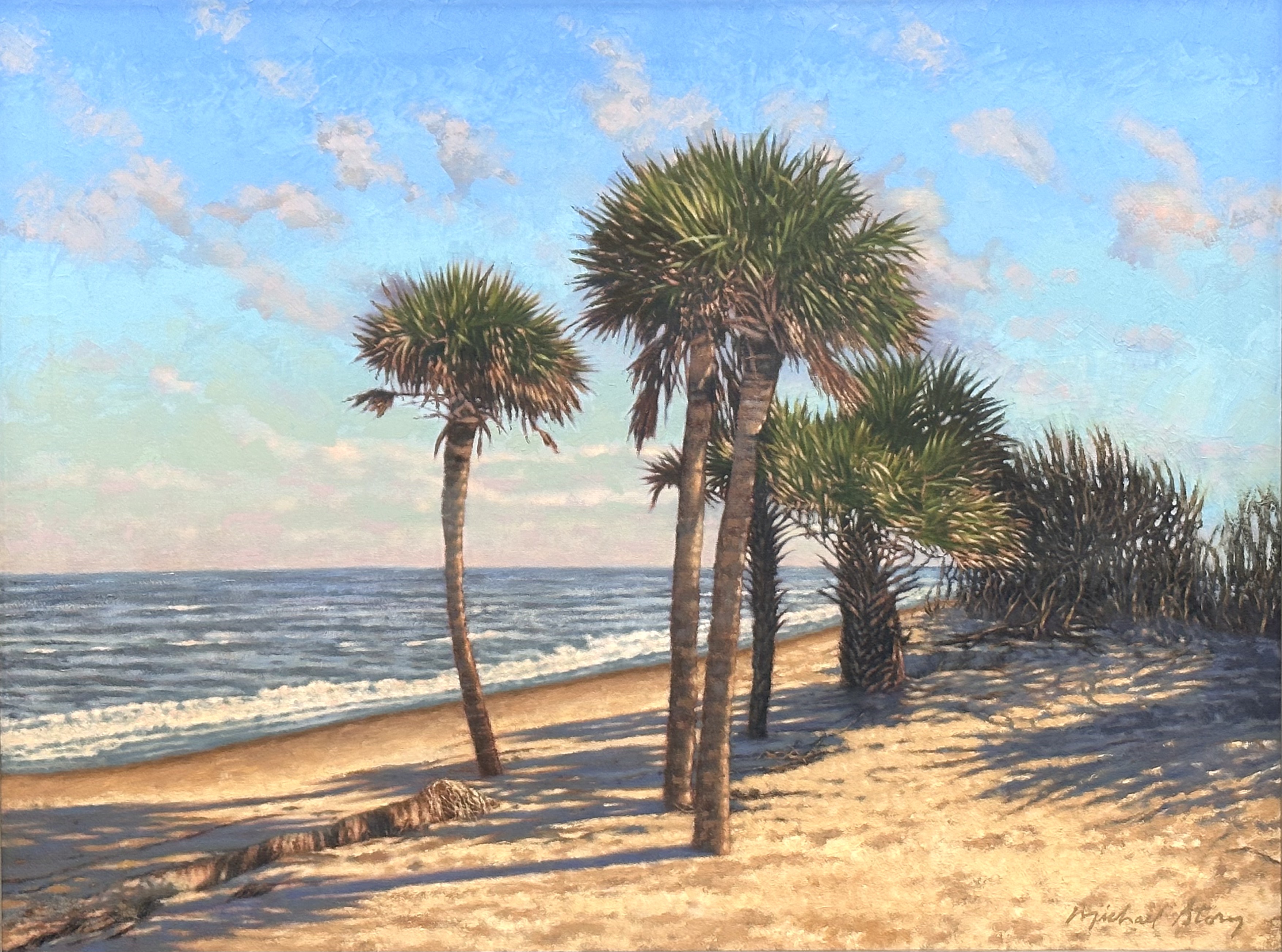 Barrier Island Palms