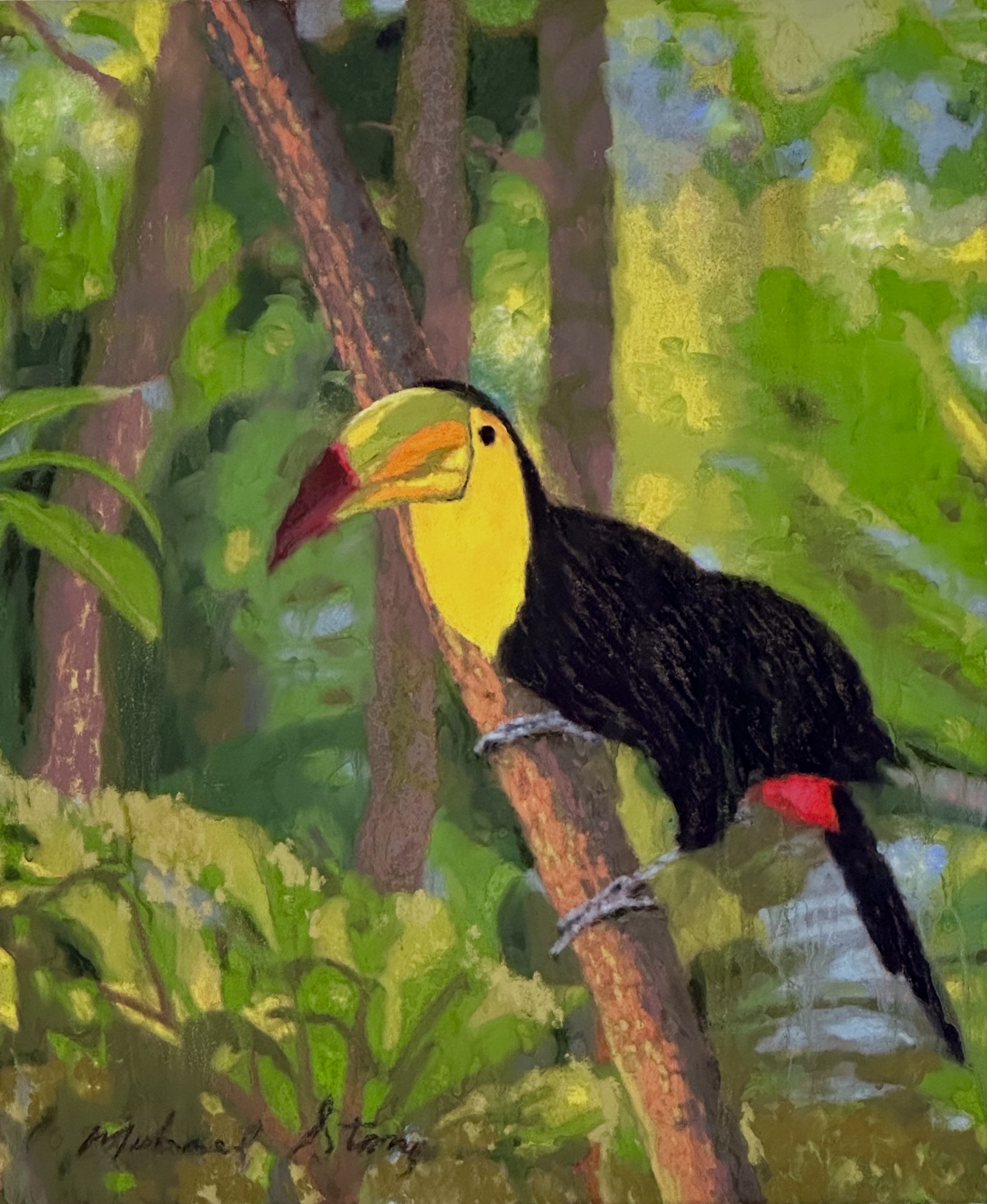 Canopy Dweller