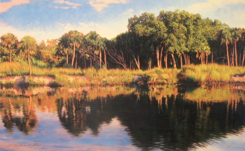 Coastal River Journey