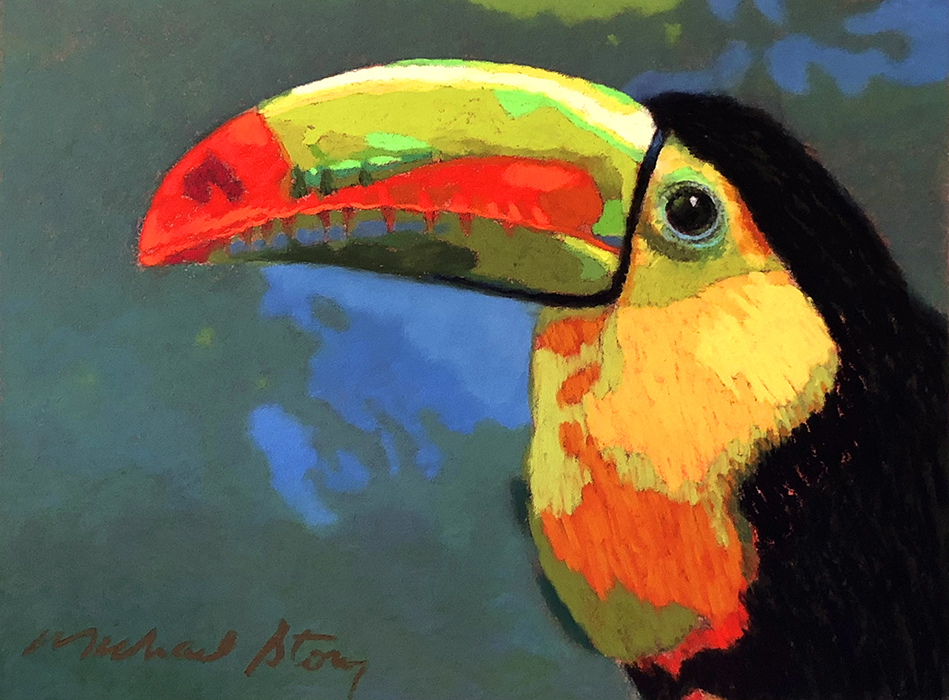 Costa Rican Toucan