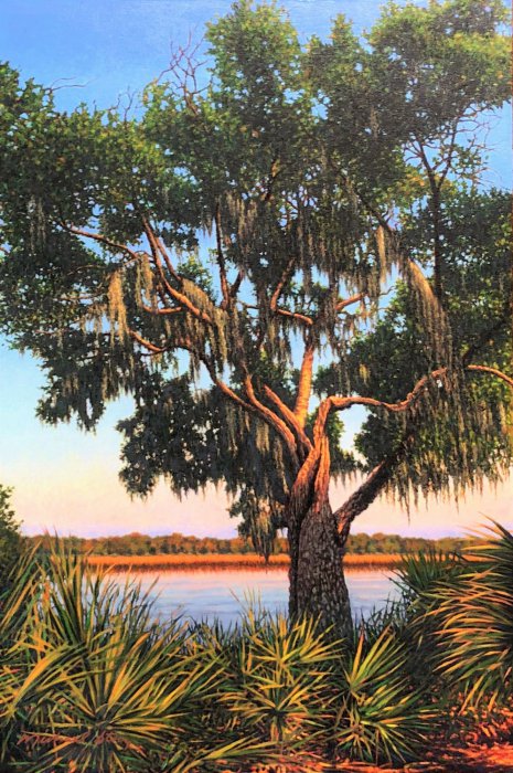 Dataw Island Oak II
