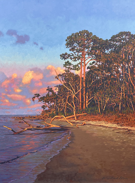 Driftwood Beach