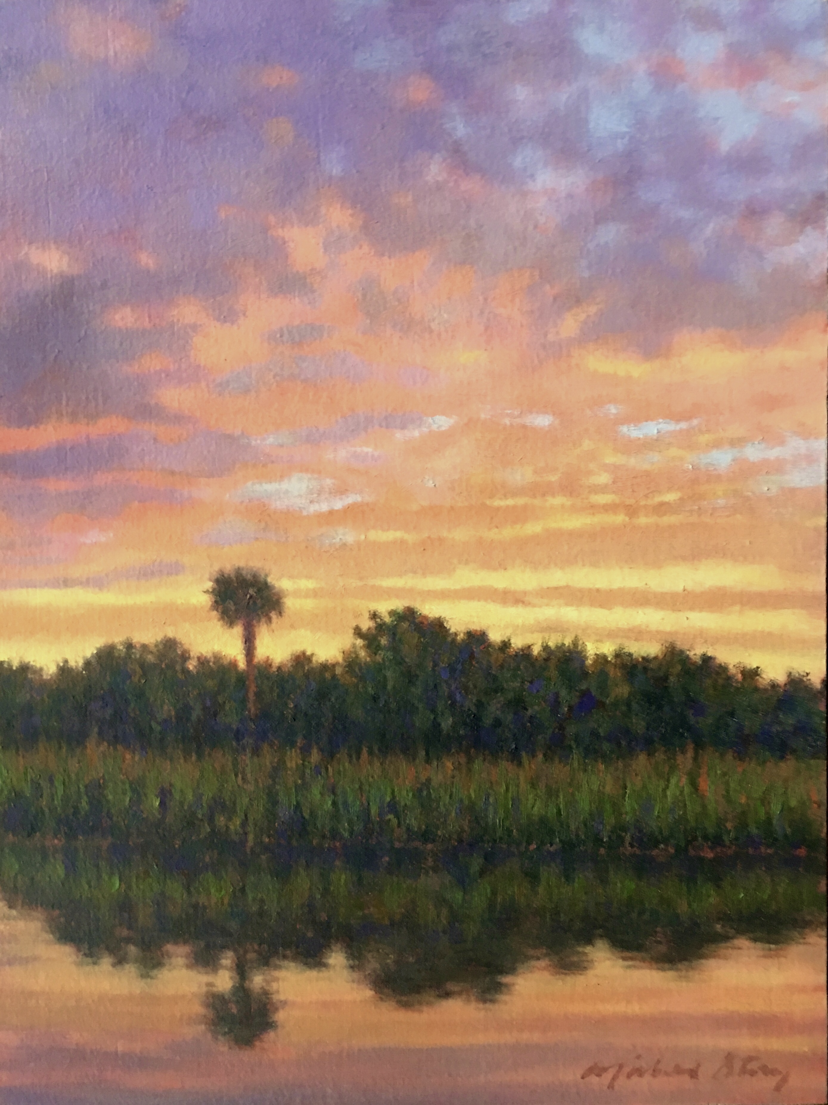 Edisto View