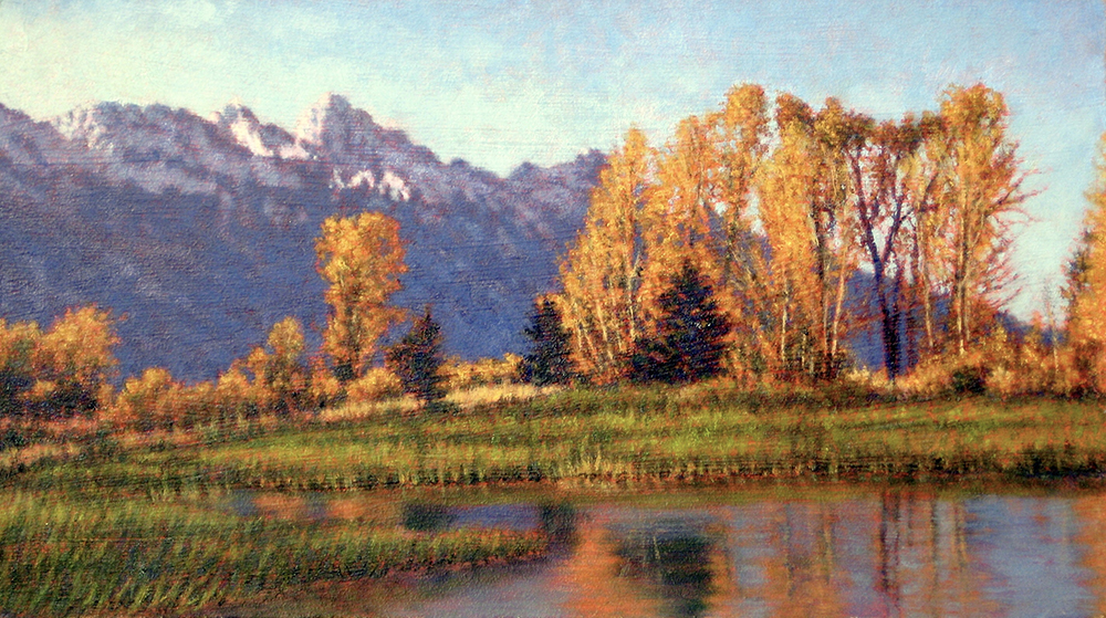 Field of Aspens