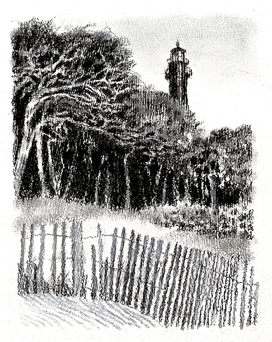 Hunting Island Lighthouse