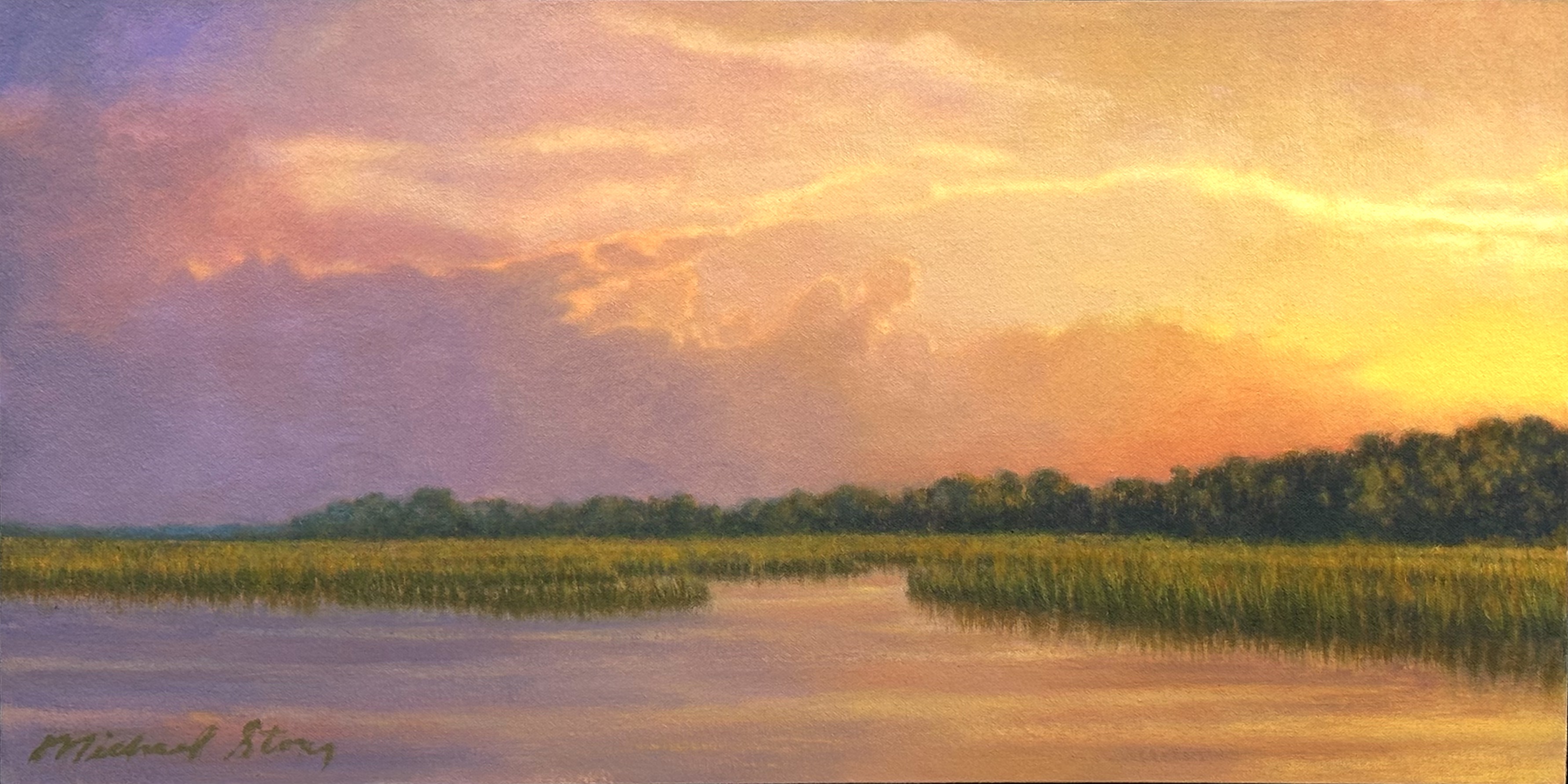 Illuminating Edisto