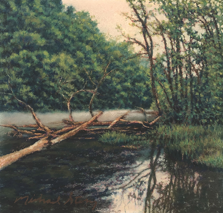 Misty Morning, Chattooga River