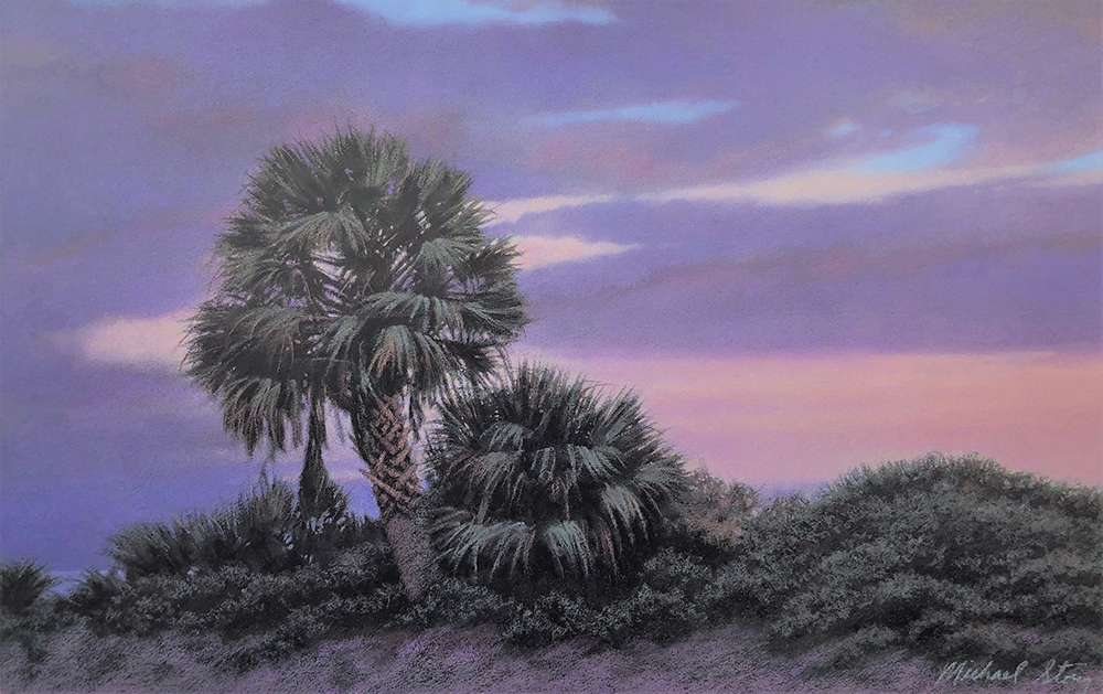 Palmetto Dusk