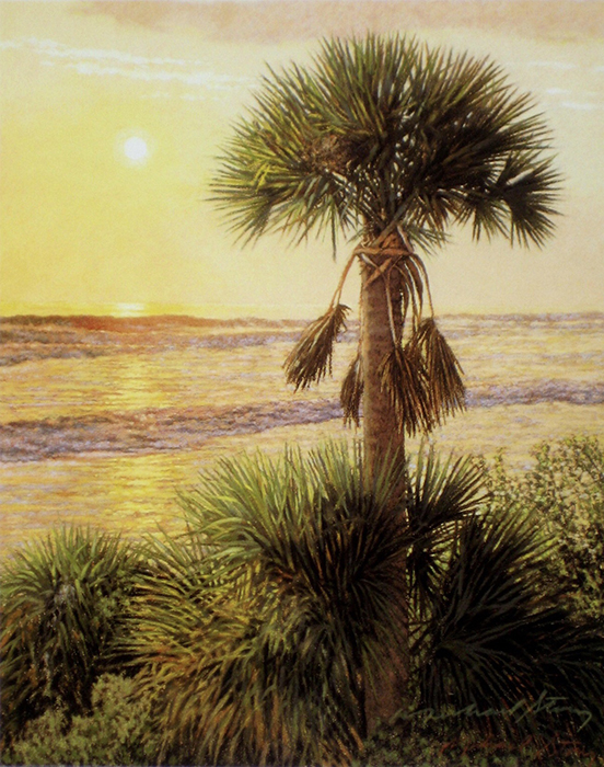 Palmetto Sunrise