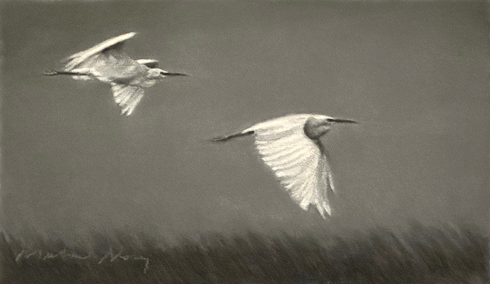 Return to the Nest