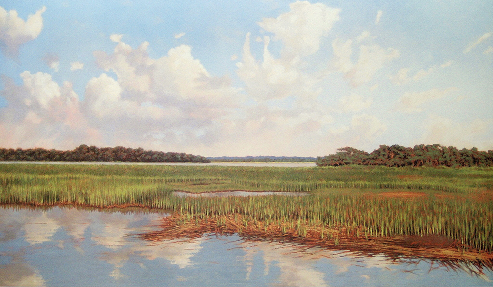 Salt Marsh Tide
