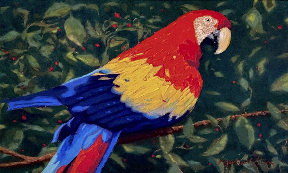 Scarlet in the Rainforest