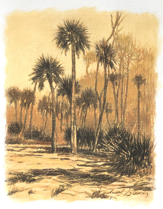 Sea Island Study I