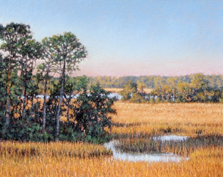 Shadows in Tall Pines