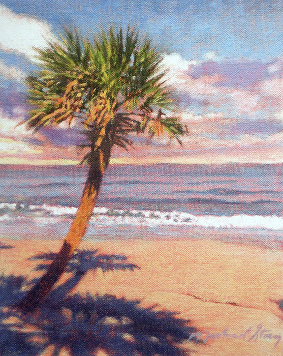 Shadows in the Sand