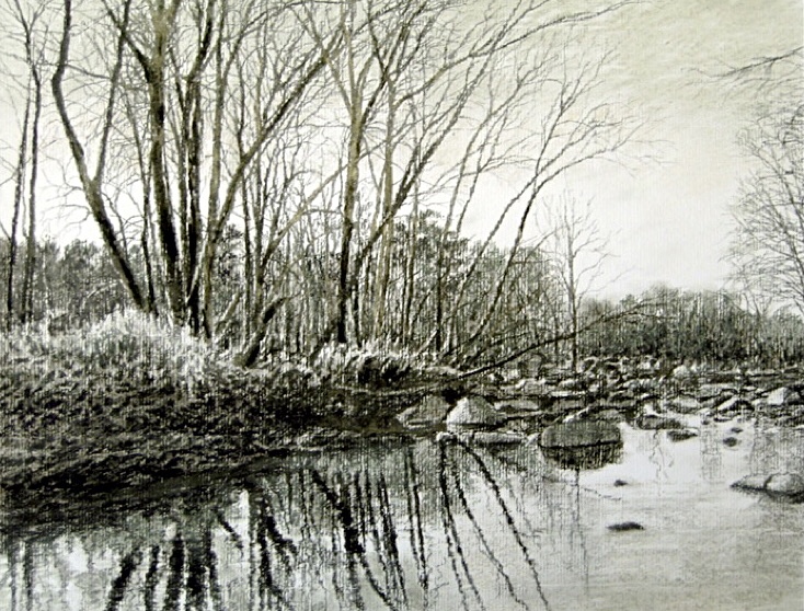 Shallow Water Reflections