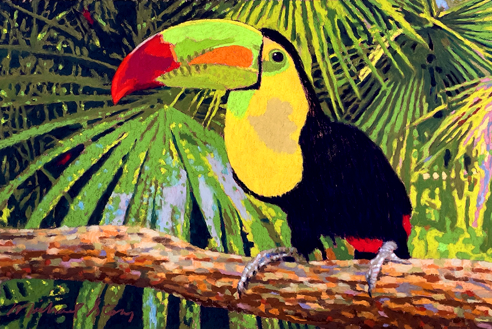 Toucan & Palms