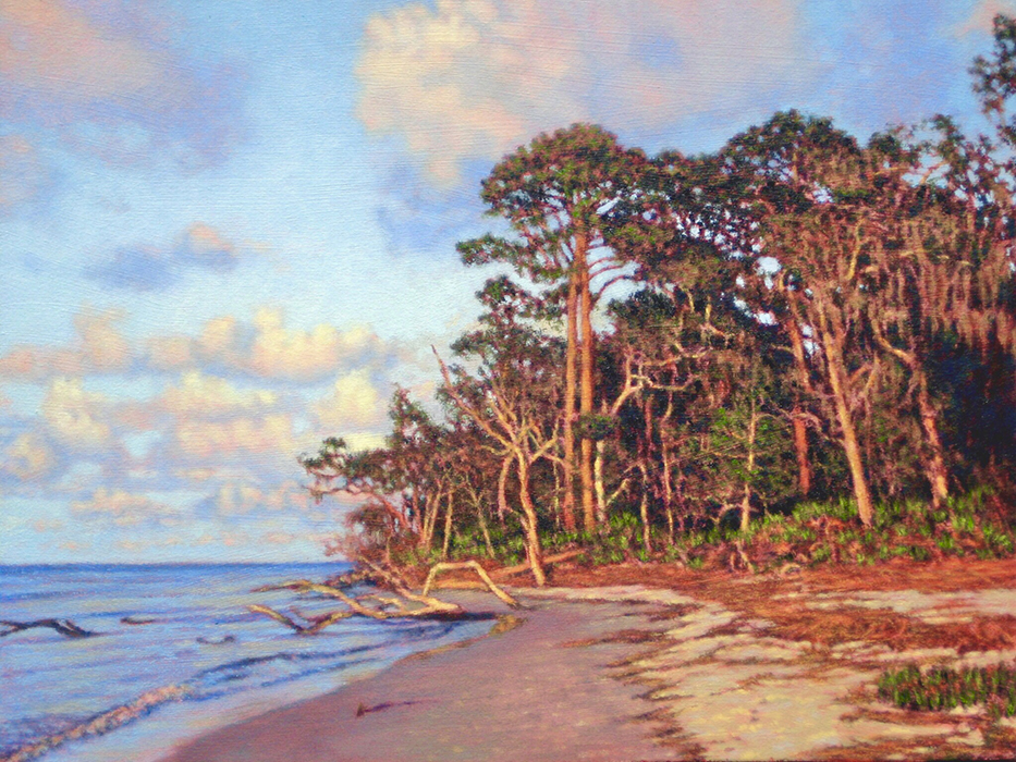 Traversing Driftwood Beach