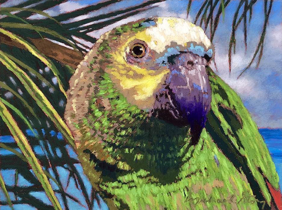 Turquoise in the Tropics