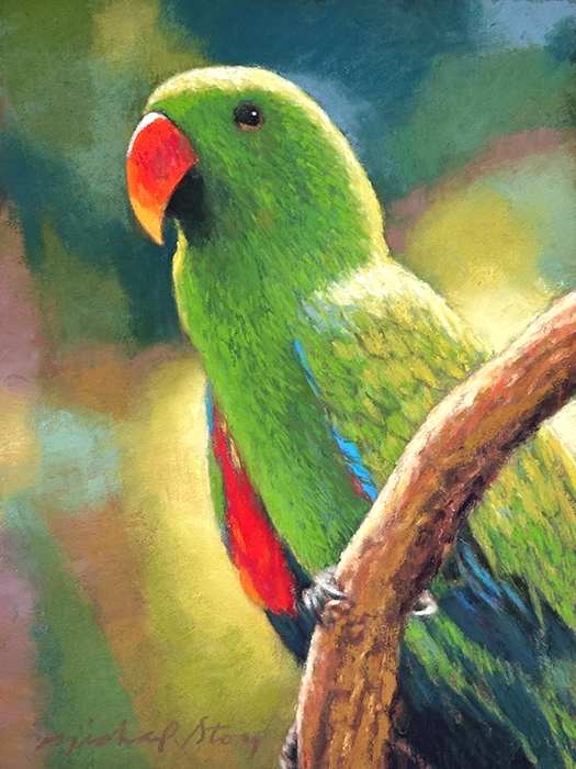 Eclectus