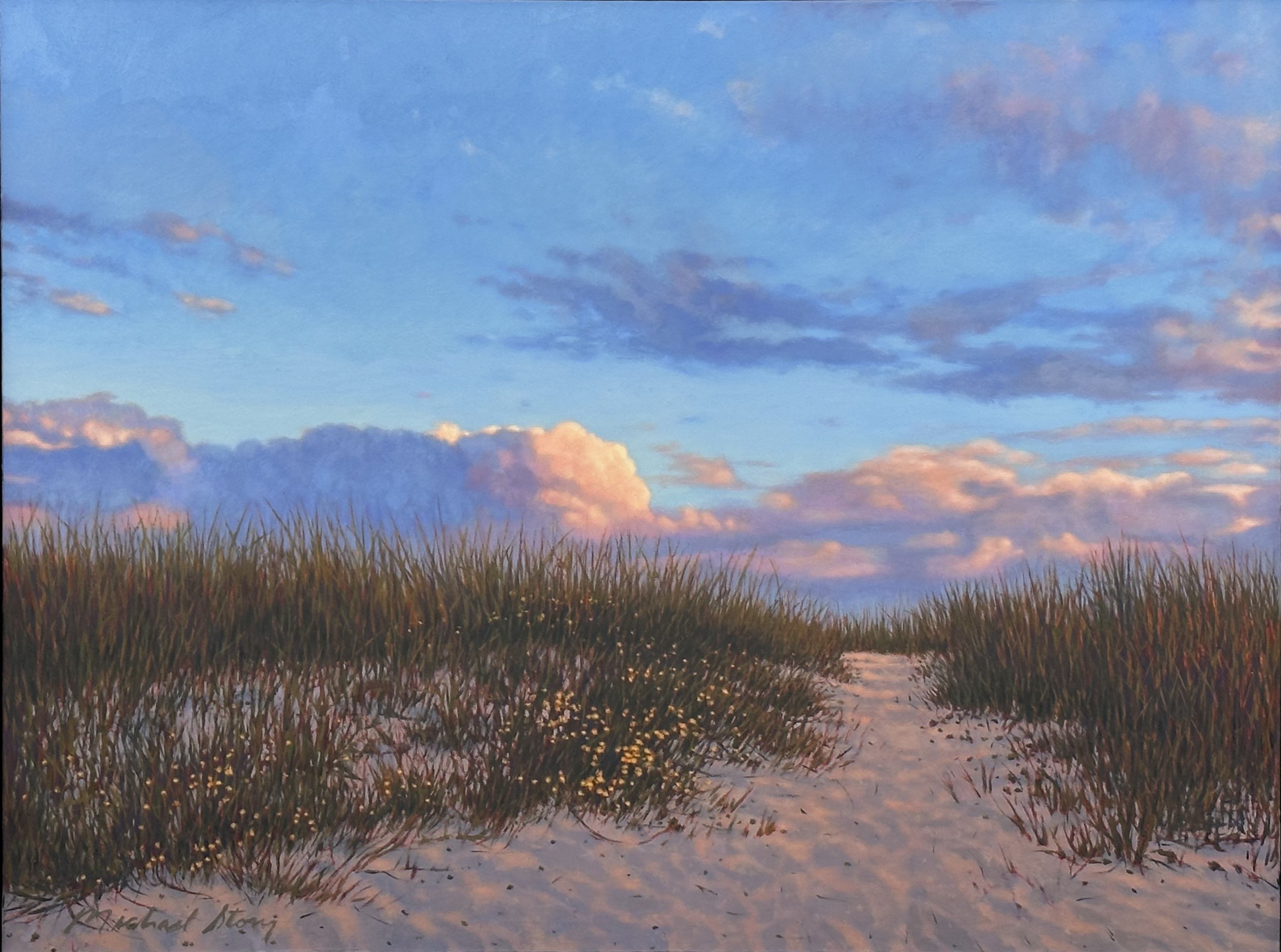 Ocean Path