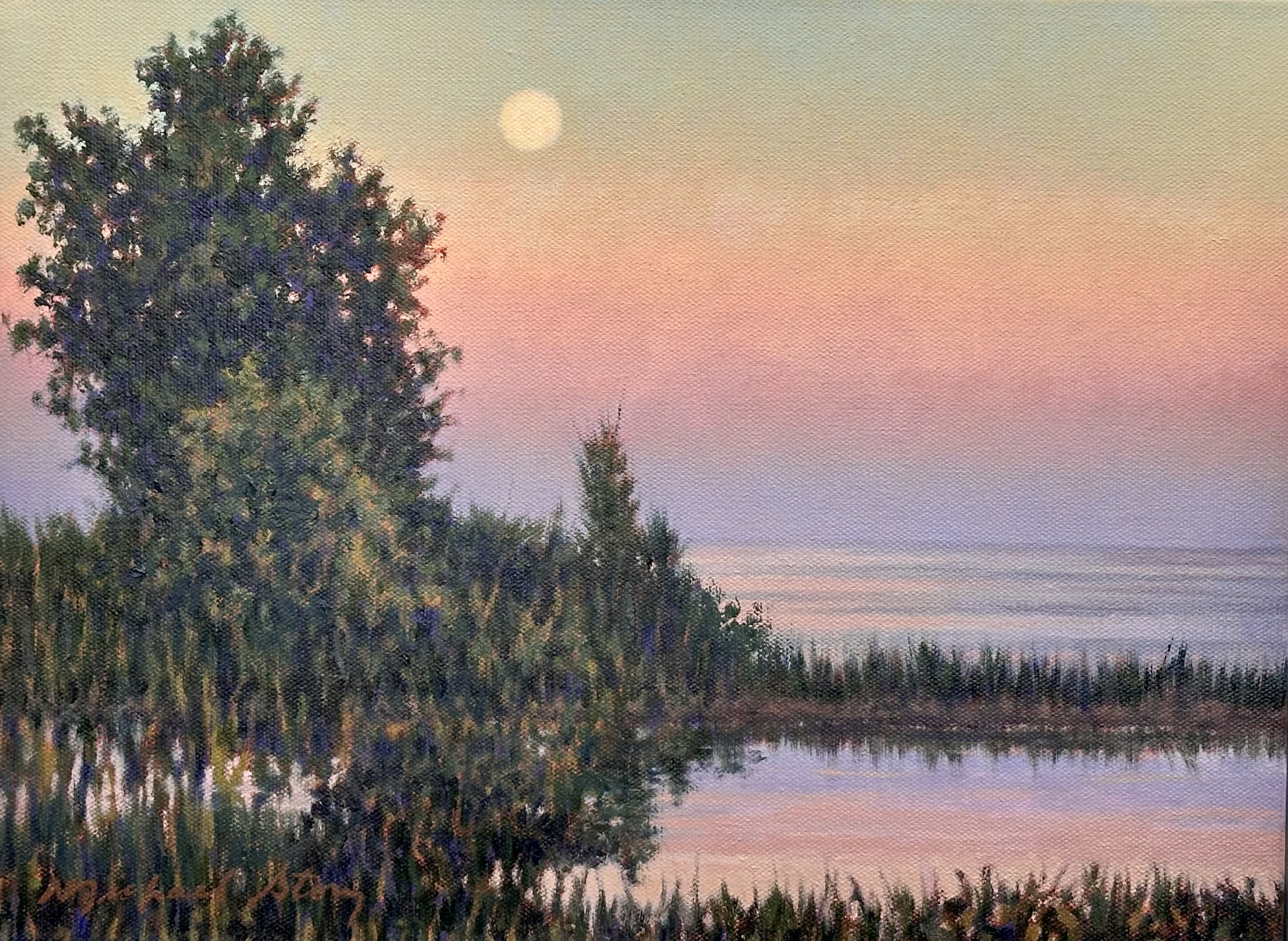 Peninsula View