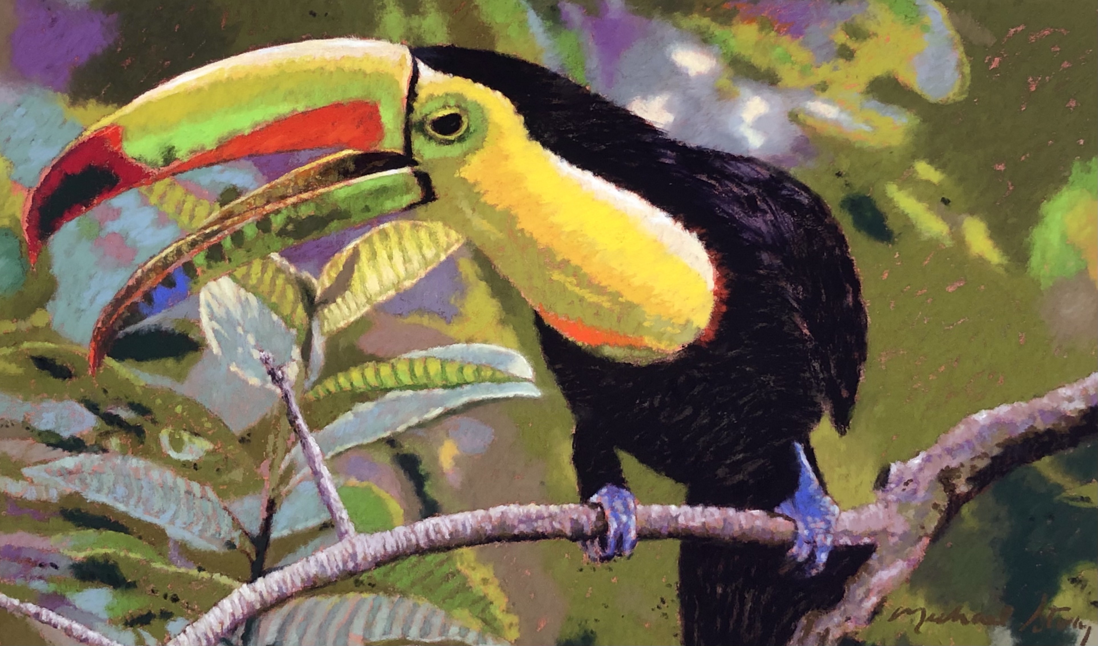 Water Lilies / Tropical Birds