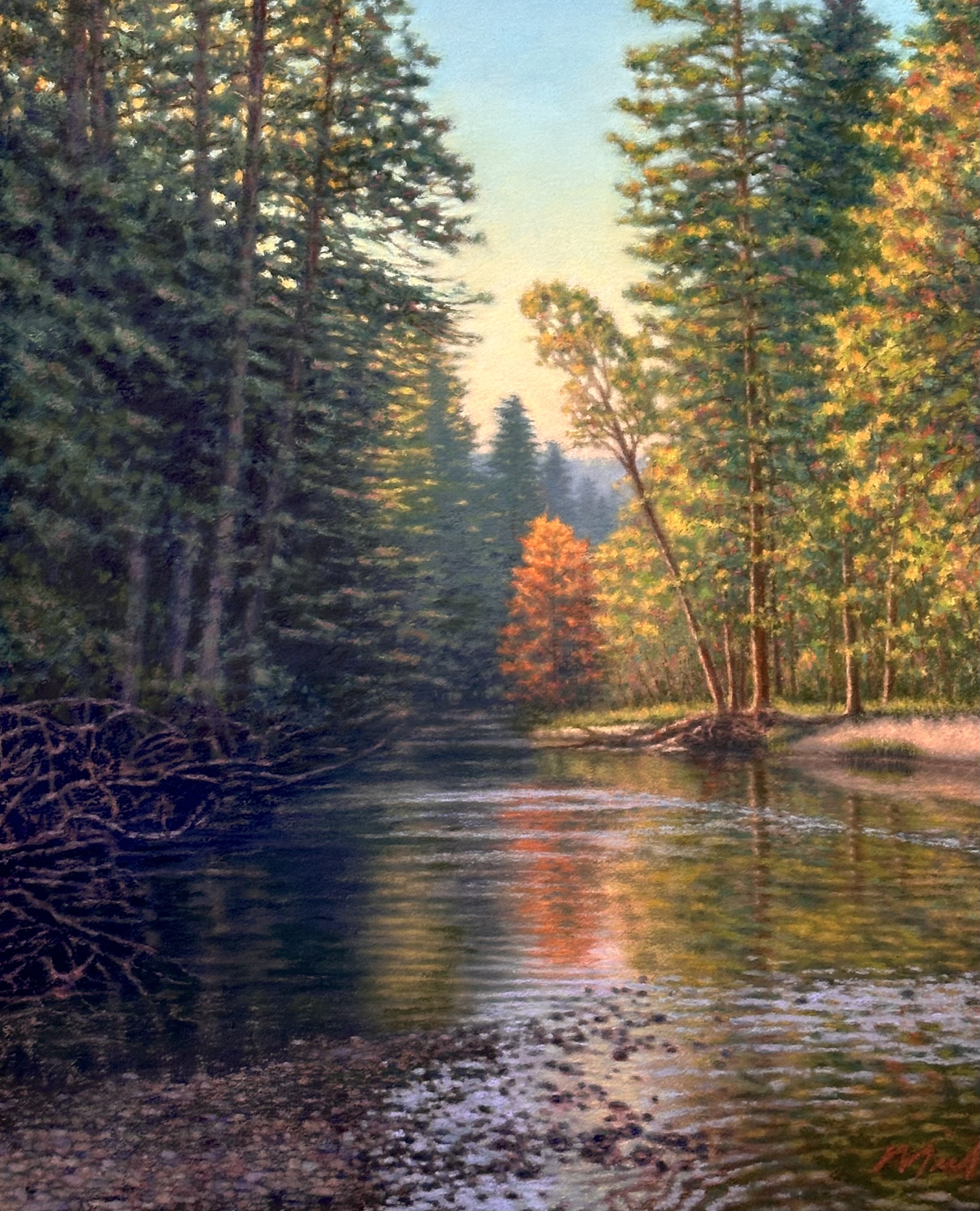 Shallow Discovery