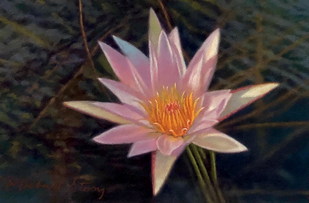 Water Lillies #9