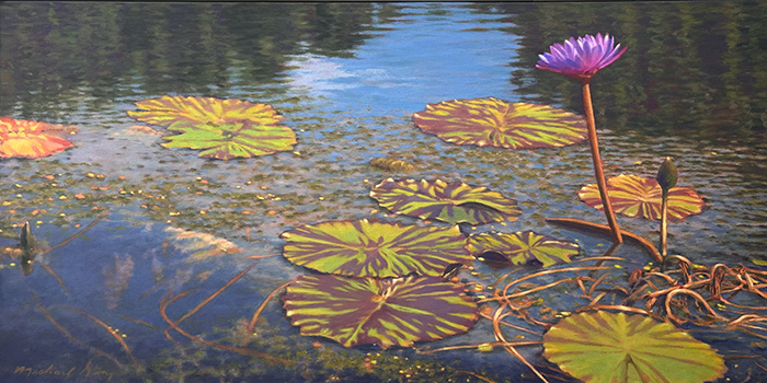 Water Lilies at Brookgreen, III